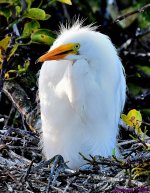 DSC_7638_001.JPG