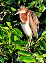 DSC_7821_001.JPG