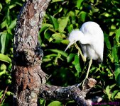 DSC_7887_001.JPG