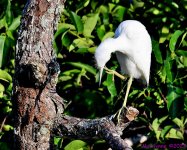 DSC_7889_001.JPG