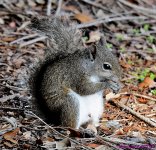 DSC_7945_001.JPG