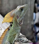 DSC_8000_001.JPG