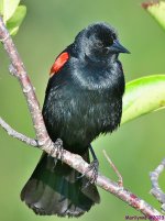 DSC_8128_001.JPG