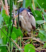 DSC_8219_001.JPG