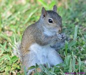 DSC_8260_001.JPG