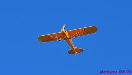 DSC_8278_001.JPG
