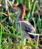 DSC_8363_001.JPG