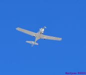 DSC_8417_001.JPG