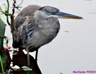 DSC_8425_001.JPG