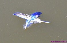 DSC_8580_001.JPG