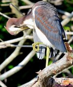 DSC_8608_001.JPG