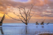_DAB7648-2-HDR.jpg