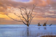 _DAB7648-2-HDR-2.jpg