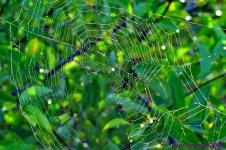 DSC_8814_stitch_001.JPG