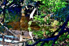 DSC_8831_001.JPG