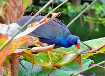 DSC_8897_001.JPG