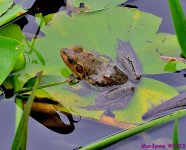 DSC_8923_001_01.JPG