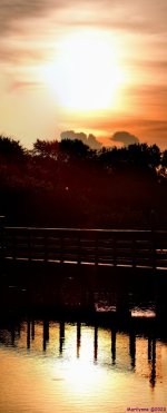 DSC_8972_stitch7_001.JPG