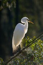 _DAB7200-SharpenAI-Motion-2.jpg