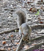 DSC_9126_001.JPG