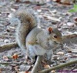 DSC_9129_001.JPG