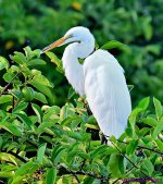 DSC_9221_001.JPG