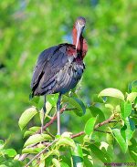 DSC_0180_001.JPG