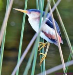 DSC_0275_001.JPG