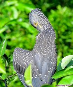 DSC_0432_001.JPG