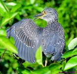 DSC_0454_001.JPG