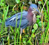 DSC_0521_001.JPG