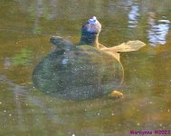 DSC_0665_001.JPG