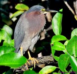 DSC_0671_001.JPG