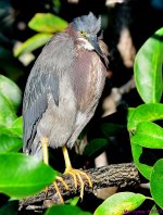 DSC_0677_001.JPG
