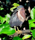 DSC_0692_001.JPG