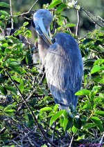 DSC_0718_001.JPG