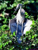 DSC_0728_001.JPG