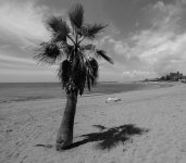 shadows-2.jpg