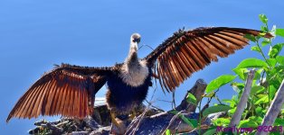 DSC_0799_stitch_001.JPG