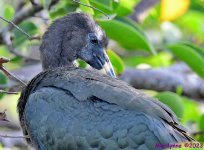 DSC_0836_001.JPG