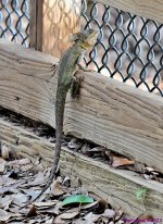 DSC_0894_stitch_001.JPG
