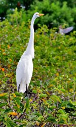 DSC_1074_001.JPG