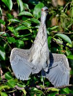 DSC_1196_stitch4_001.JPG