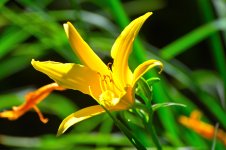 ROY_9580.JPG