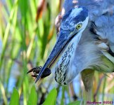 DSC_1658_001.JPG