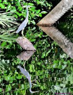 DSC_1725_stitch4_001.JPG