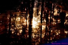 DSC_1740_001.JPG