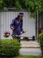 working-1.jpg