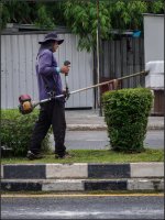 working-2.jpg