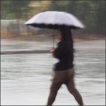 rain-1.jpg